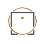 Establishment Labs Holdings Inc. Share Price